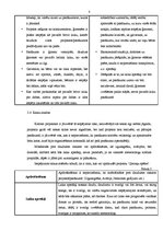 Prakses atskaite 'Projekta "Ģimeņu spēles 2009" izstrāde', 7.