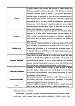 Prakses atskaite 'Projekta "Ģimeņu spēles 2009" izstrāde', 8.