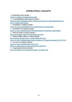 Referāts 'Datorsistēmu modernizācija uzņēmumā', 24.