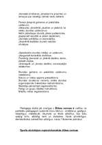 Konspekts 'Sporta skolotāja pedagoģiskā kompetence', 2.