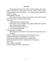 Referāts 'Pusaudžu viedoklis par atkarību izraisošām vielām kā sociālu problēmu', 2.