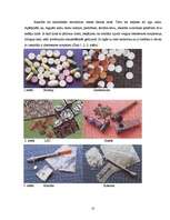 Referāts 'Pusaudžu viedoklis par atkarību izraisošām vielām kā sociālu problēmu', 13.