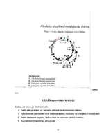 Referāts 'Pusaudžu viedoklis par atkarību izraisošām vielām kā sociālu problēmu', 15.