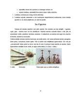 Referāts 'Pusaudžu viedoklis par atkarību izraisošām vielām kā sociālu problēmu', 16.