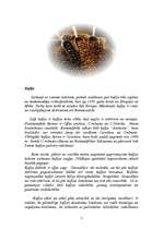 Referāts 'Bezakaholiskie dzērieni', 7.