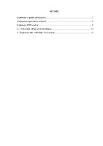 Referāts 'Risku analīze uzņēmumā', 1.