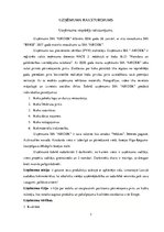 Referāts 'Risku analīze uzņēmumā', 7.