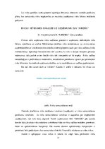 Referāts 'Risku analīze uzņēmumā', 17.