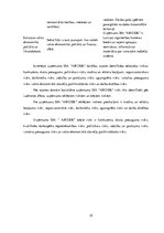 Referāts 'Risku analīze uzņēmumā', 19.