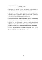 Referāts 'Risku analīze uzņēmumā', 21.