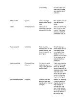 Konspekts 'Kārļa Skalbes pasaku analīze', 2.