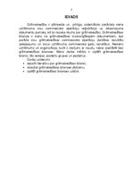 Referāts 'Bilances zelta likumi', 3.