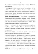 Referāts 'Bilances zelta likumi', 7.