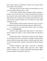 Referāts 'Servitūti', 12.