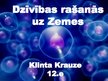 Prezentācija 'Dzīvības rašanās uz Zemes', 1.