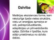Prezentācija 'Dzīvības rašanās uz Zemes', 2.