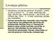 Prezentācija 'Livonija', 15.