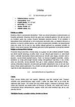 Referāts 'Biznesa kultūra Itālijā', 4.