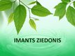 Prezentācija 'Imants Ziedonis', 1.