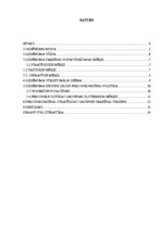 Referāts 'Uzņēmuma "Inditex group" organizatoriskā struktūra un personālvadības galvenās v', 3.