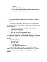 Konspekts 'Uzņēmuma finansēšanas avoti', 3.