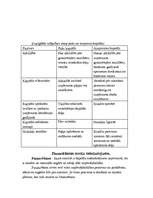 Konspekts 'Uzņēmuma finansēšanas avoti', 4.