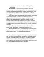 Konspekts 'Uzņēmuma finansēšanas avoti', 6.