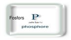 Prezentācija 'Fosfors', 1.