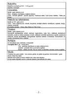 Konspekts 'Kultūra senajos laikos', 6.