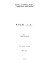 Eseja 'Stratēģiskā vadīšana. No idejas līdz panākumiem', 1.