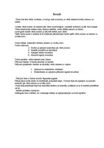 Referāts 'Vārdu nozīme un ietekme uz cilvēka dzīvi', 3.