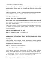 Referāts 'Vārdu nozīme un ietekme uz cilvēka dzīvi', 11.