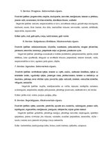 Referāts 'Vārdu nozīme un ietekme uz cilvēka dzīvi', 12.