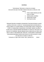 Referāts 'Vārdu nozīme un ietekme uz cilvēka dzīvi', 24.