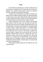 Referāts 'Intervija ar 65 gadus vecu sievieti', 4.