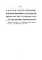 Referāts 'Intervija ar 65 gadus vecu sievieti', 7.