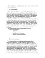 Biznesa plāns 'Interneta kafejnīca', 5.