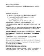 Paraugs 'Sagatavošanās 9.klases vēstures eksāmenam', 2.