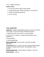 Paraugs 'Sagatavošanās 9.klases vēstures eksāmenam', 12.