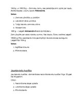 Paraugs 'Sagatavošanās 9.klases vēstures eksāmenam', 14.