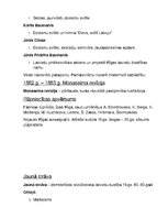 Paraugs 'Sagatavošanās 9.klases vēstures eksāmenam', 16.