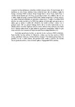 Eseja '23.februāris - Padomju armijas diena', 3.