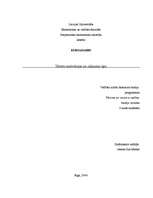 Referāts 'Tūristu motivācijas un ceļojumu tipi', 5.