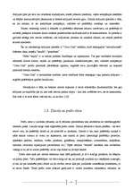 Biznesa plāns 'Zīmols un tā attīstības faktori', 9.