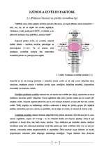 Biznesa plāns 'Zīmols un tā attīstības faktori', 13.