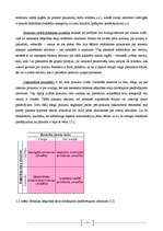 Biznesa plāns 'Zīmols un tā attīstības faktori', 14.