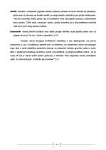 Biznesa plāns 'Zīmols un tā attīstības faktori', 17.