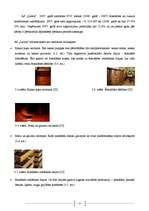 Biznesa plāns 'Zīmols un tā attīstības faktori', 20.