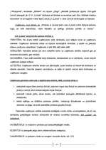 Biznesa plāns 'Zīmols un tā attīstības faktori', 25.