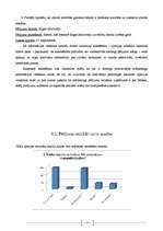 Biznesa plāns 'Zīmols un tā attīstības faktori', 39.